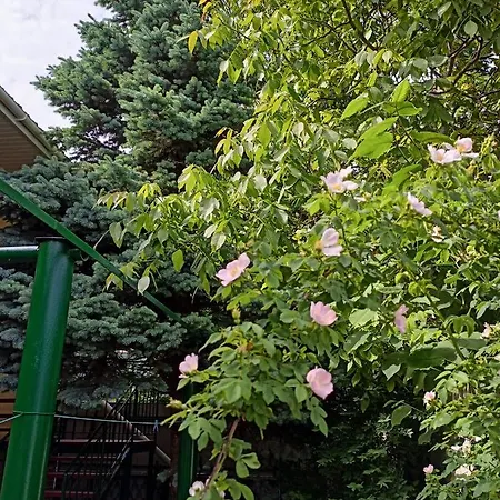 On Grigorieva Apartament Odessa